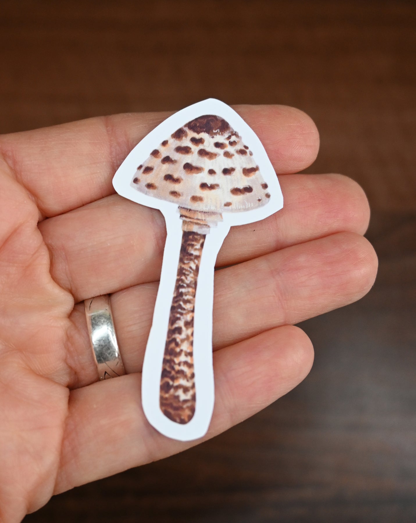 Hand holding a sticker of a mushroom with a brown cap and stem.