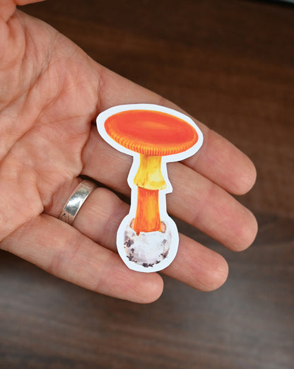 Hand holding a mushroom-shaped sticker on a wooden surface
