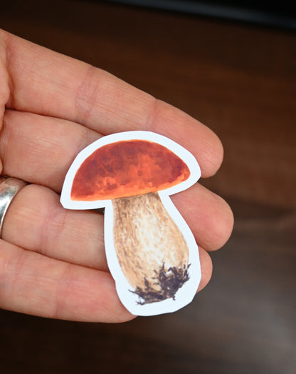 Sticker of a mushroom held between fingers against a blurred background