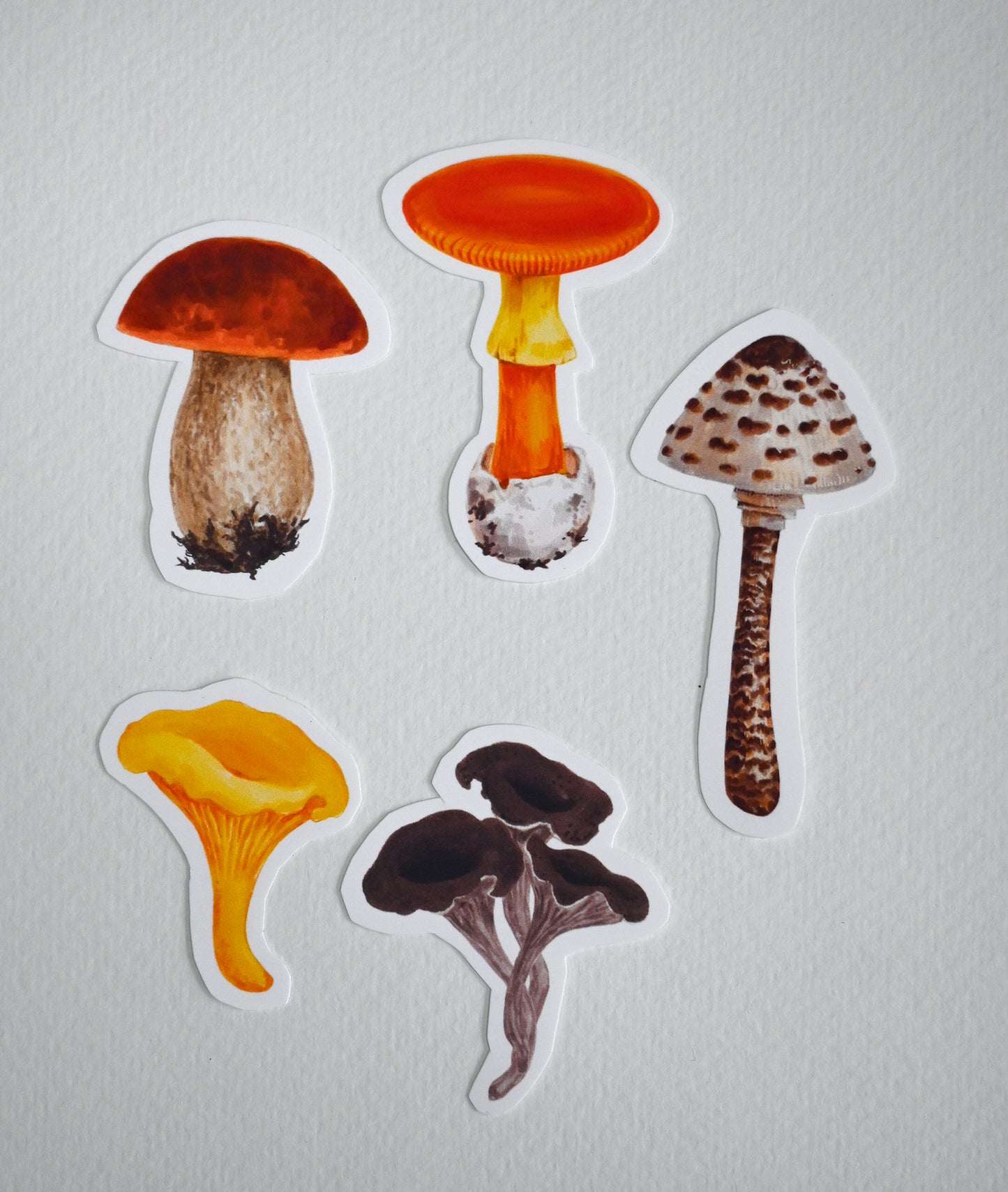 Five mushroom-shaped stickers on a white background