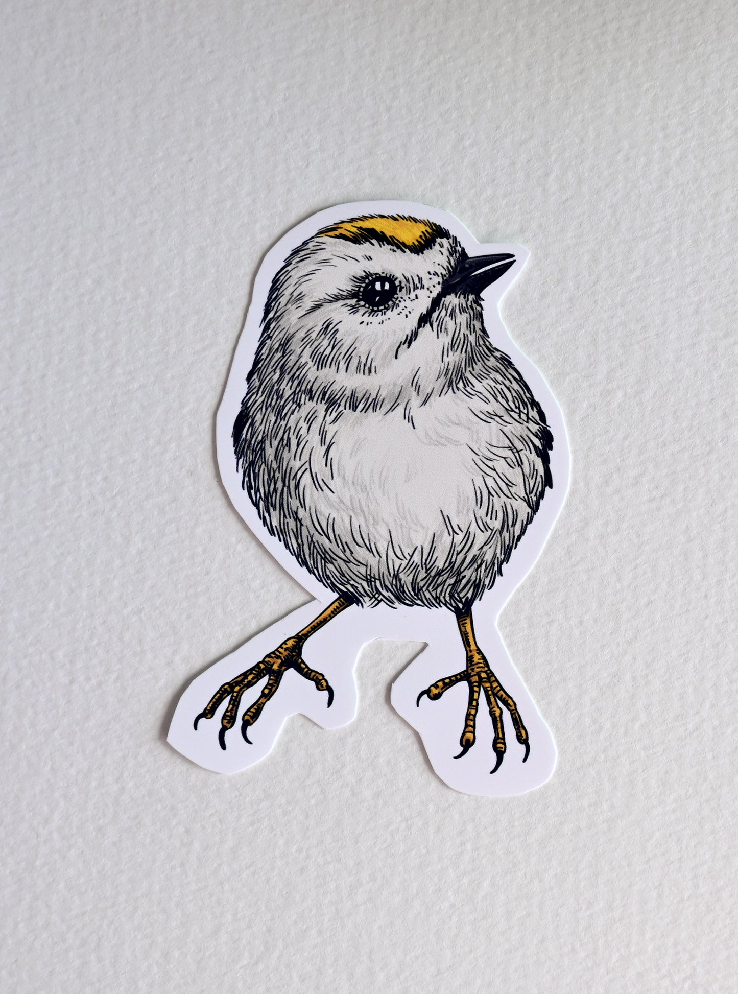 Photo of a sticker with goldcrest bird illustration on a textured white background