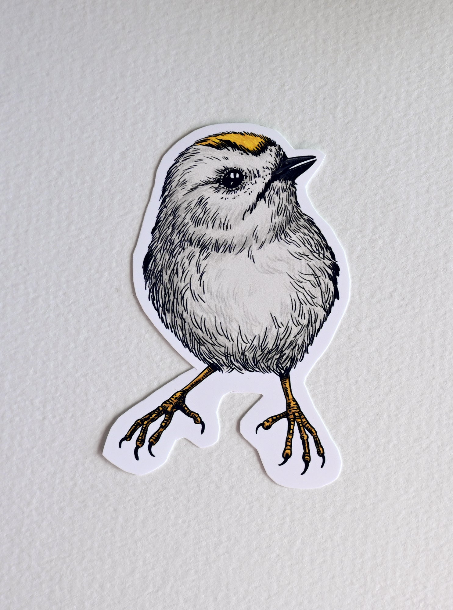 Photo of a sticker with goldcrest bird illustration on a textured white background