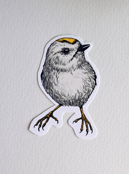 Photo of a sticker with goldcrest bird illustration on a textured white background