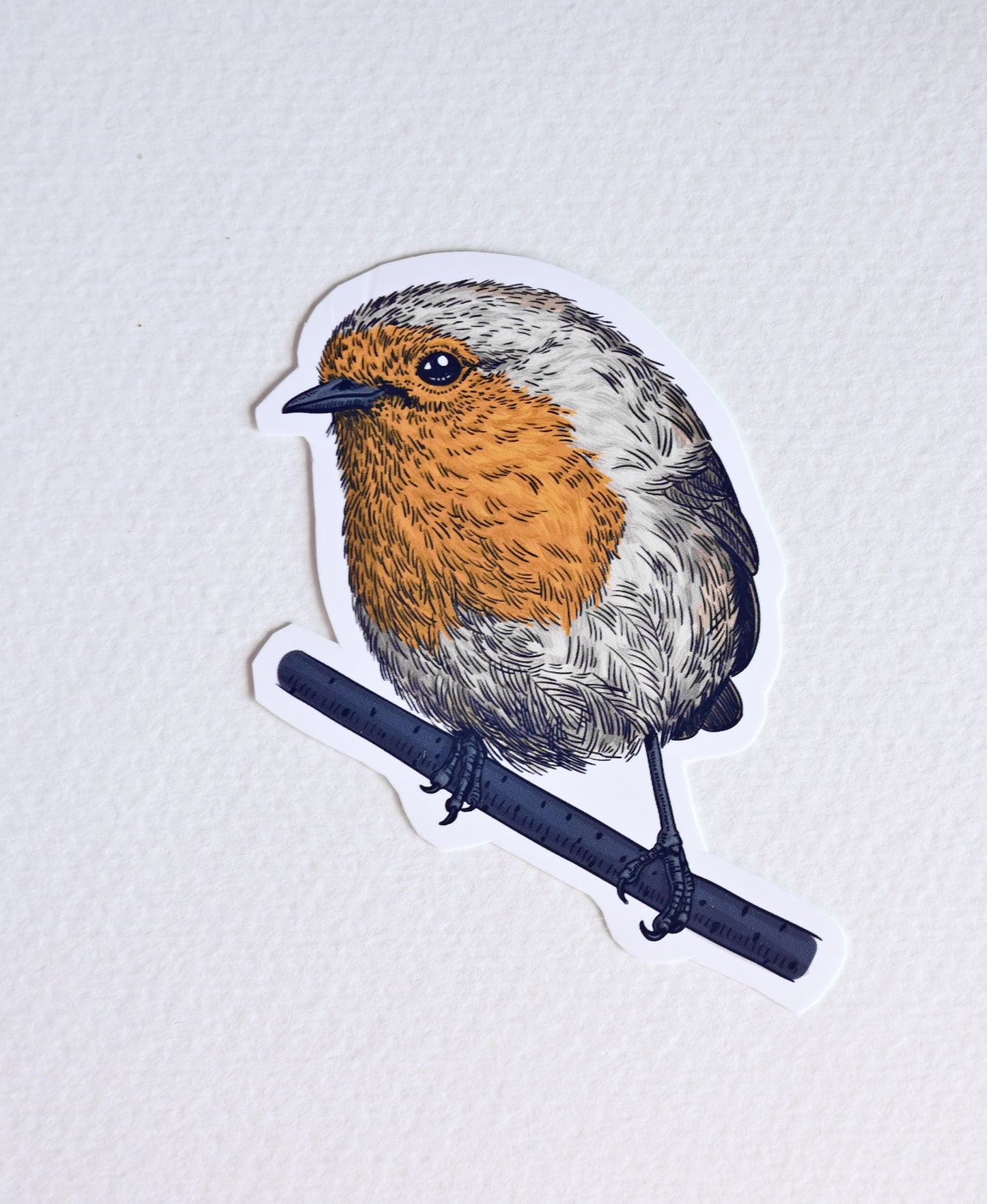 Photo of a sticker with robin bird illustration on a textured white background
