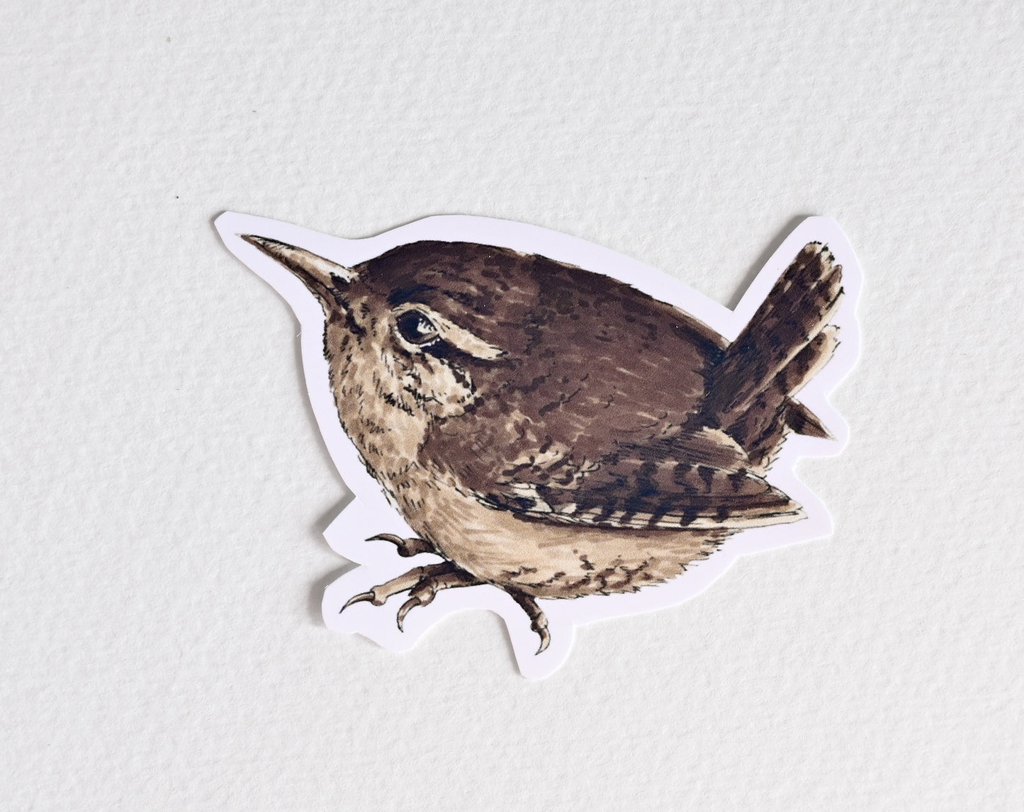 Photo of a sticker with wren bird illustration on a textured white background