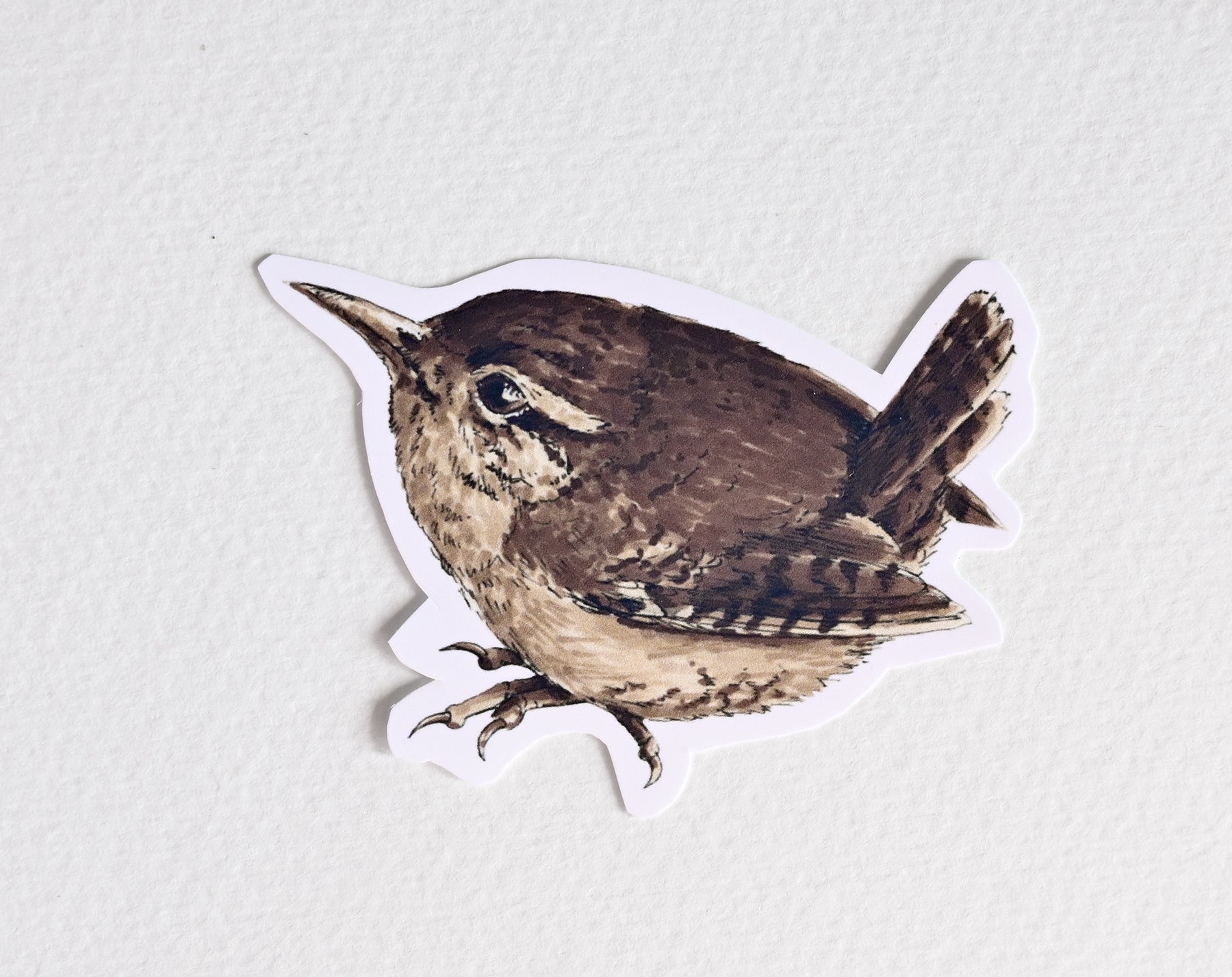 Photo of a sticker with wren bird illustration on a textured white background