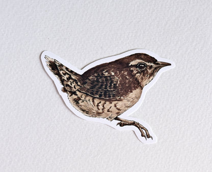 Photo of a sticker with wren bird illustration on a textured white background