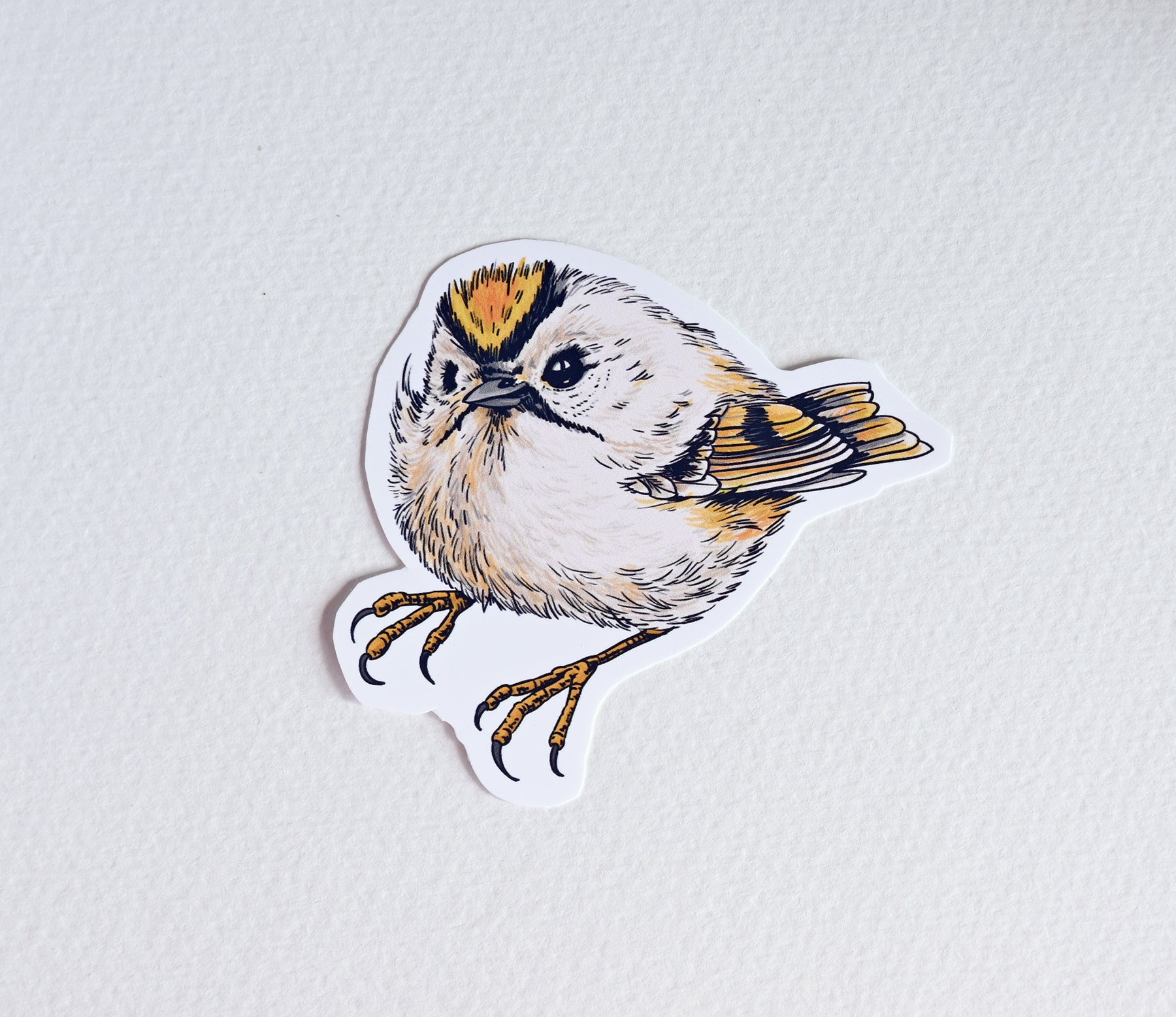 Photo of a sticker with goldcrest bird illustration on a textured white background