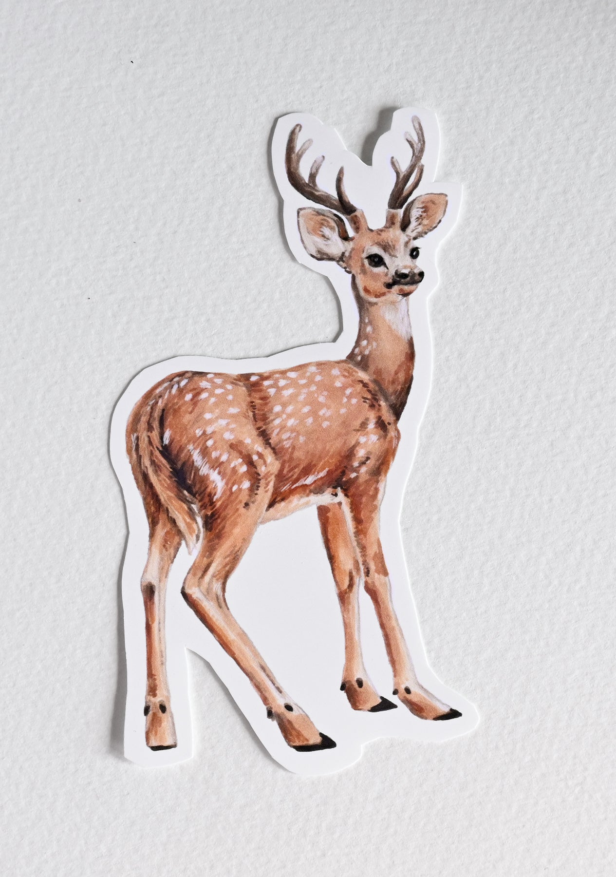 photo of a sticker with a deer illustration on a textured white background