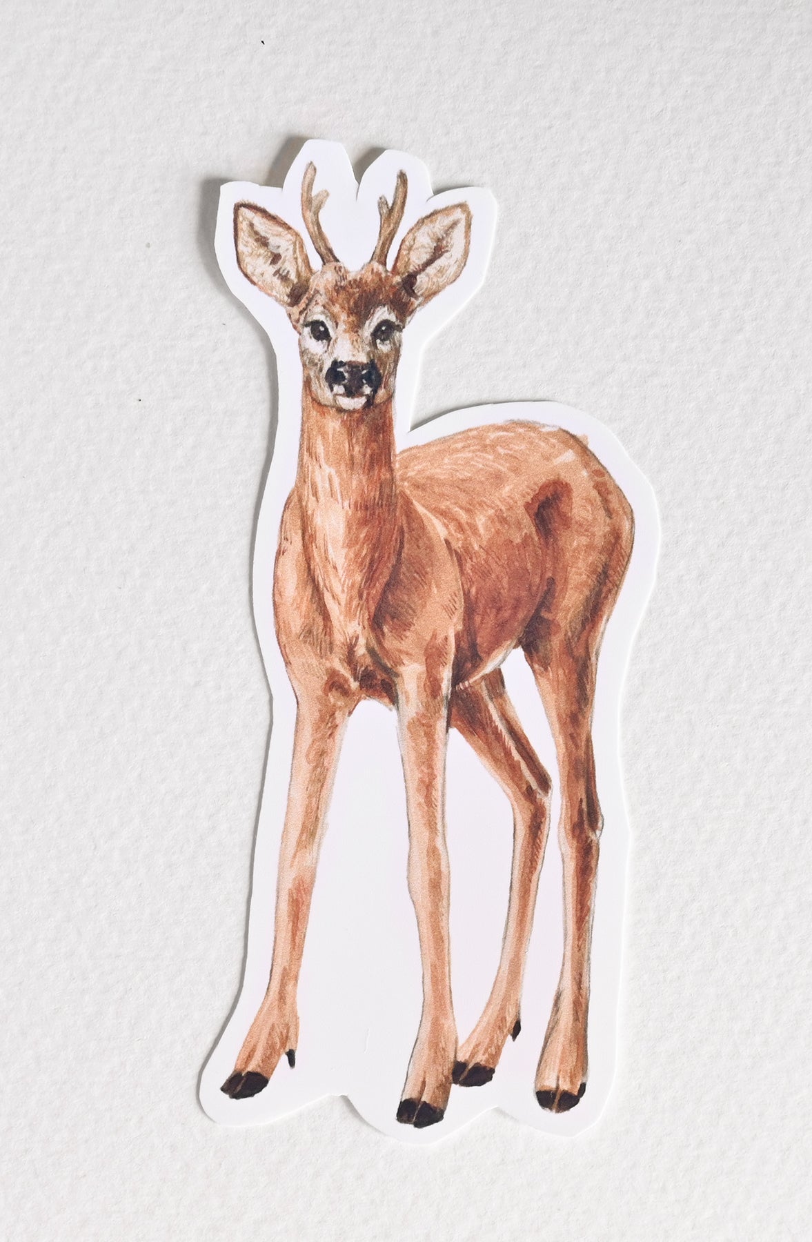 photo of a sticker with a deer illustration on a textured white background