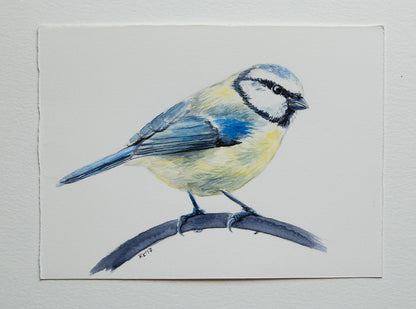 Artistic depiction of a blue tit on a branch with a white background
