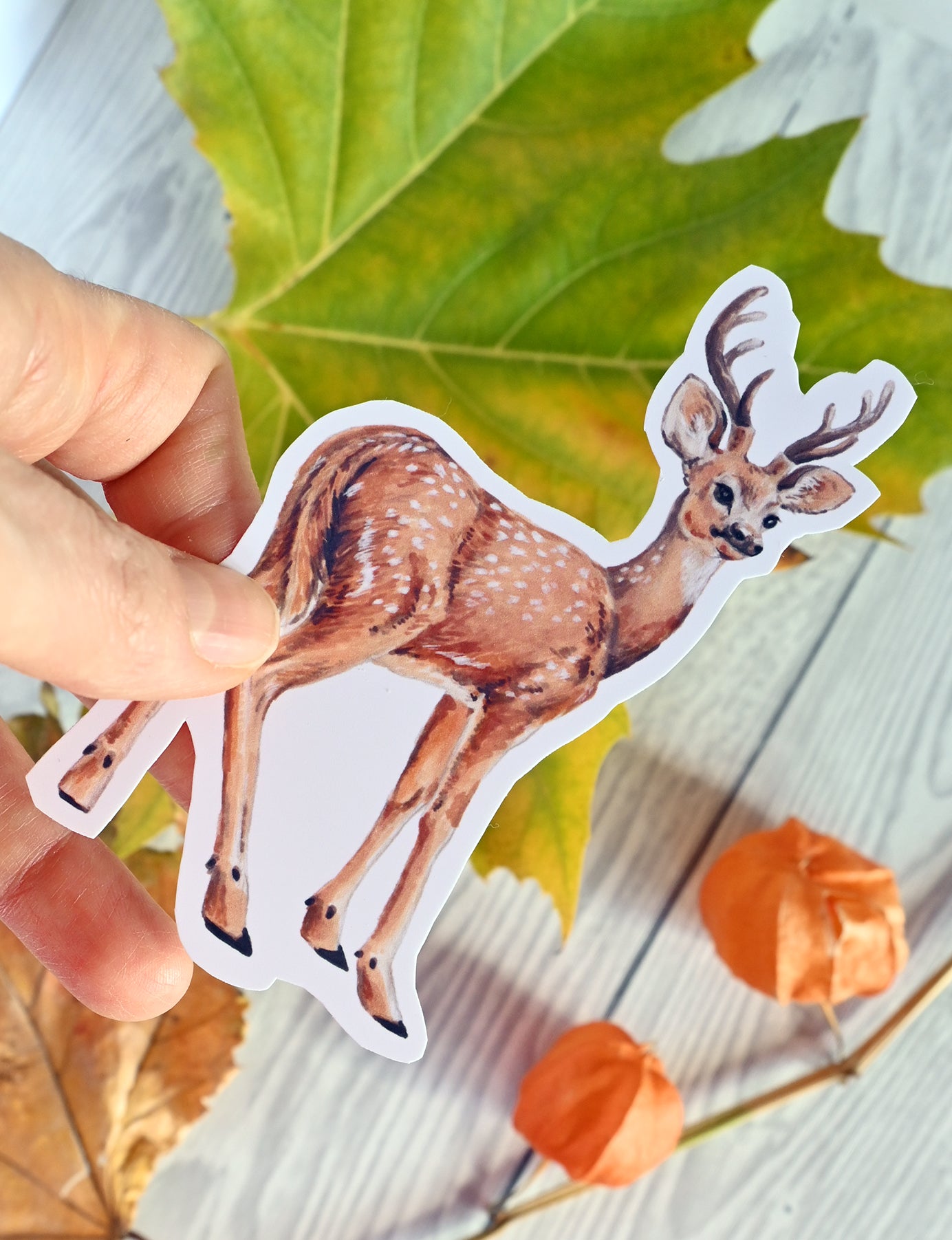 photo of a sticker with a deer illustration on a  background with autumn flora