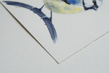 Close-up of a watercolor painting of a bird on a textured white background