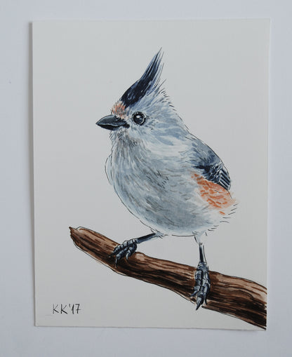 Titmouse on a branch watercolor painting