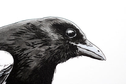 Black and white illustration of a bird's head on a white background