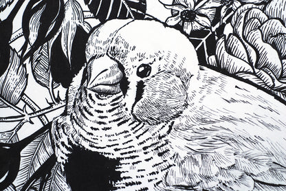 Black and white illustration of a zebra finch bird and roses, close up.