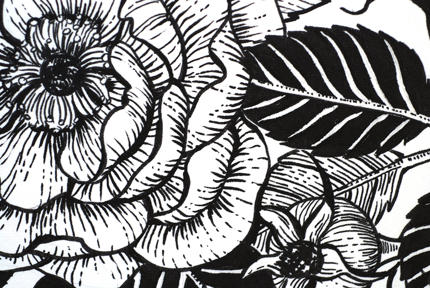 Black and white floral illustration with detailed leaves and petals.