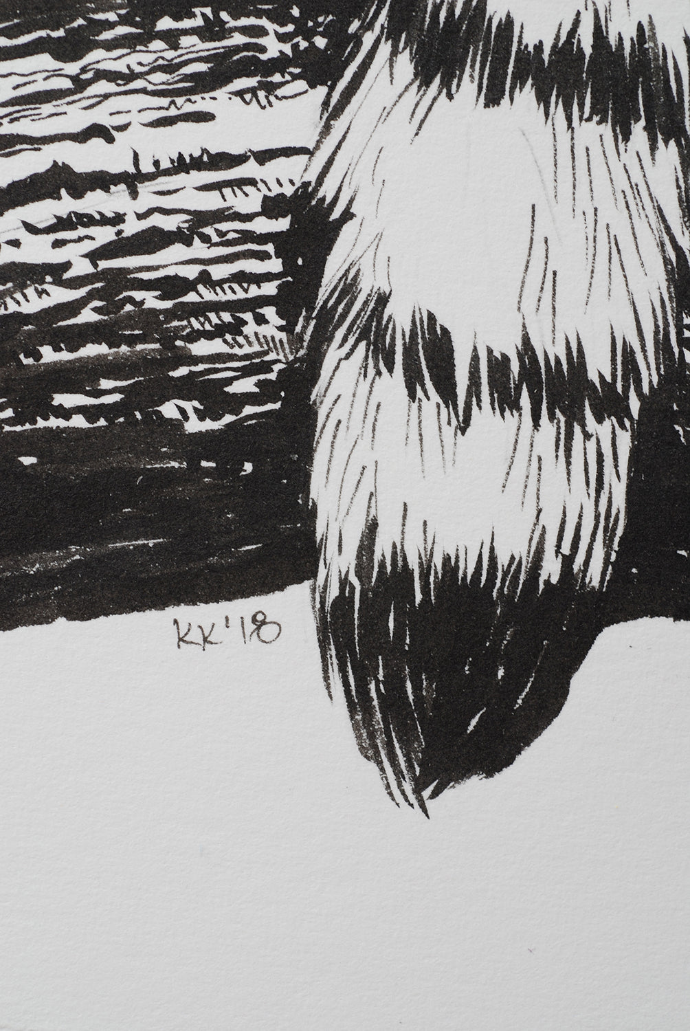 Detail of a drawing of a lemur