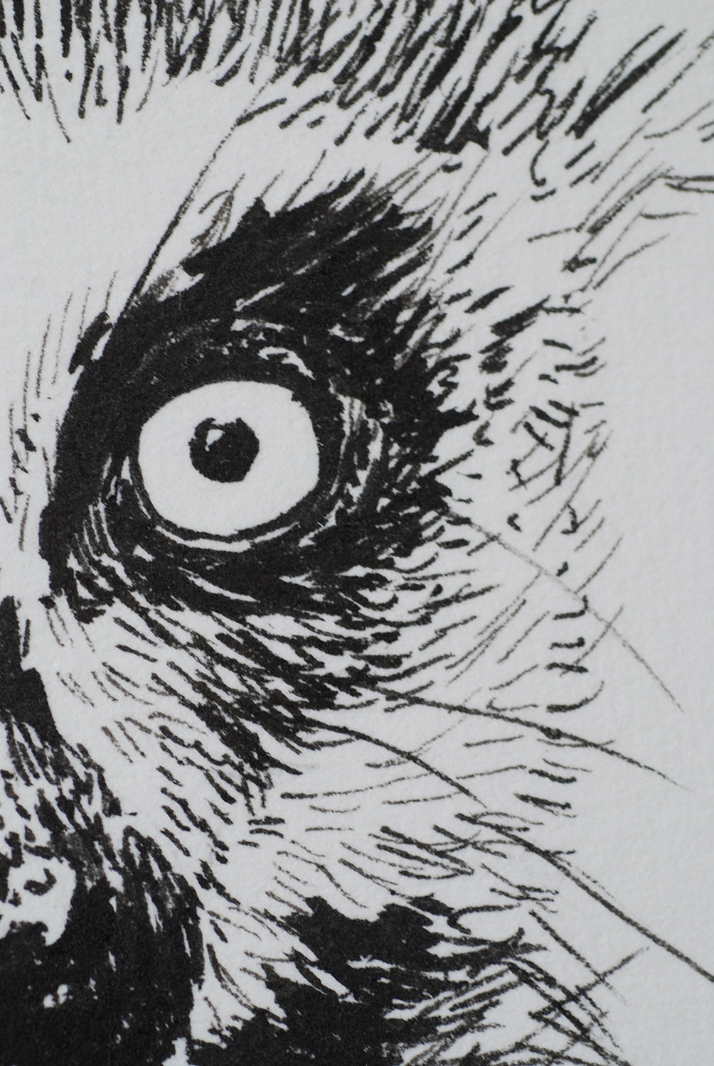 Close up of a drawing of a lemur