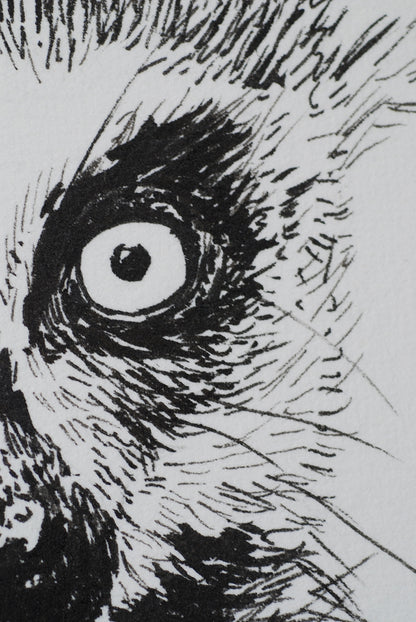 Close up of a drawing of a lemur