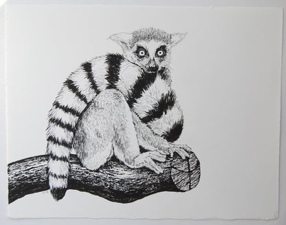 Black and white illustration of a lemur on a branch