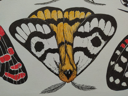 close up of an Illustration of moth  with black, white, and yellow patterns on an off white background.