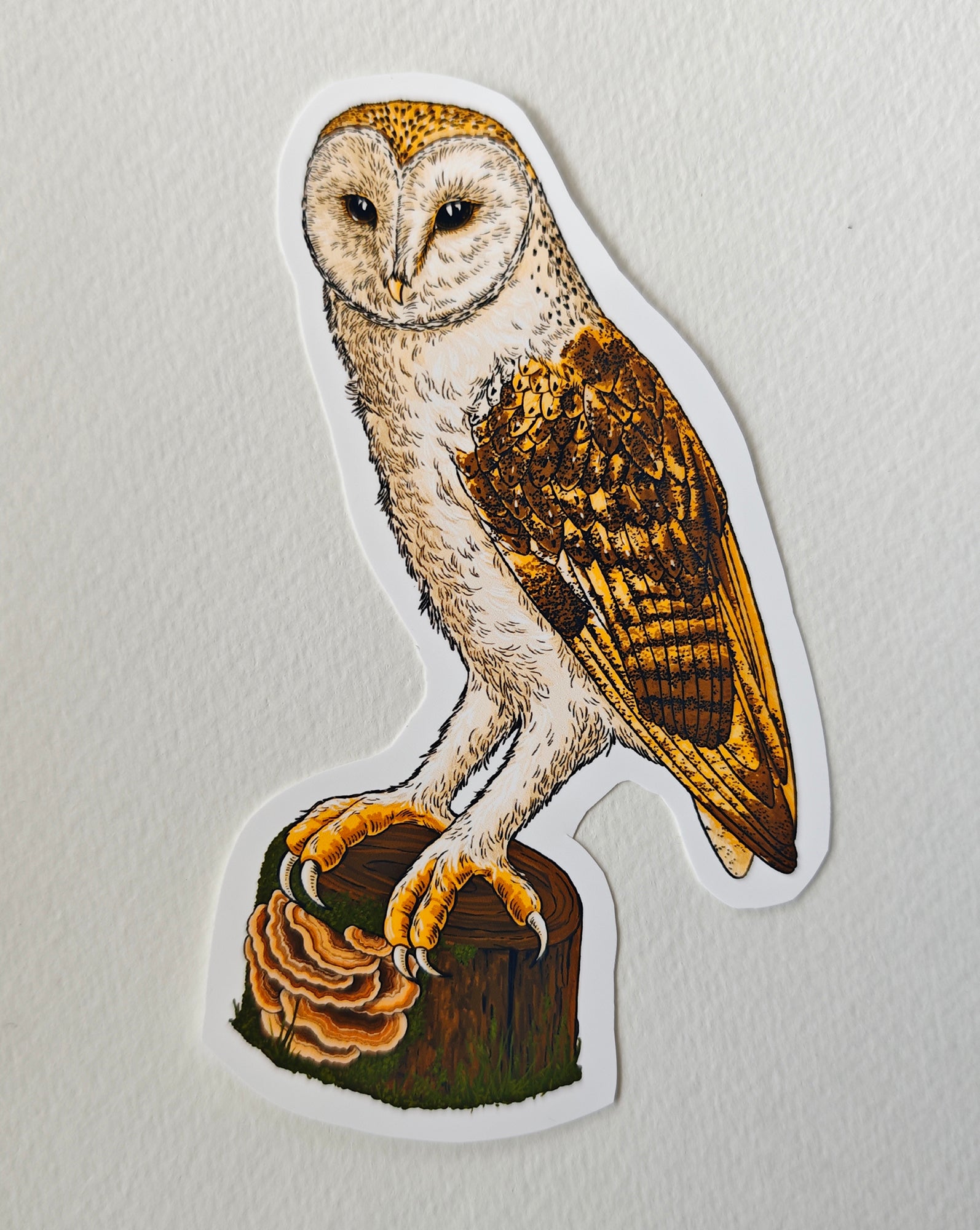 Sticker of an owl on a white background