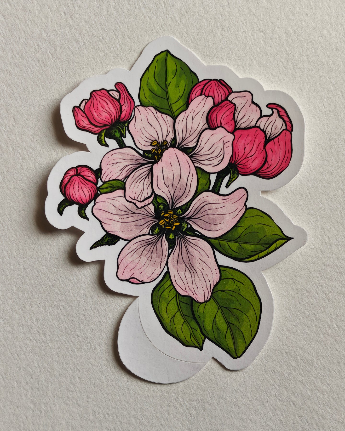 Sticker with apple blossoms and leaves in pink and green  on a white background