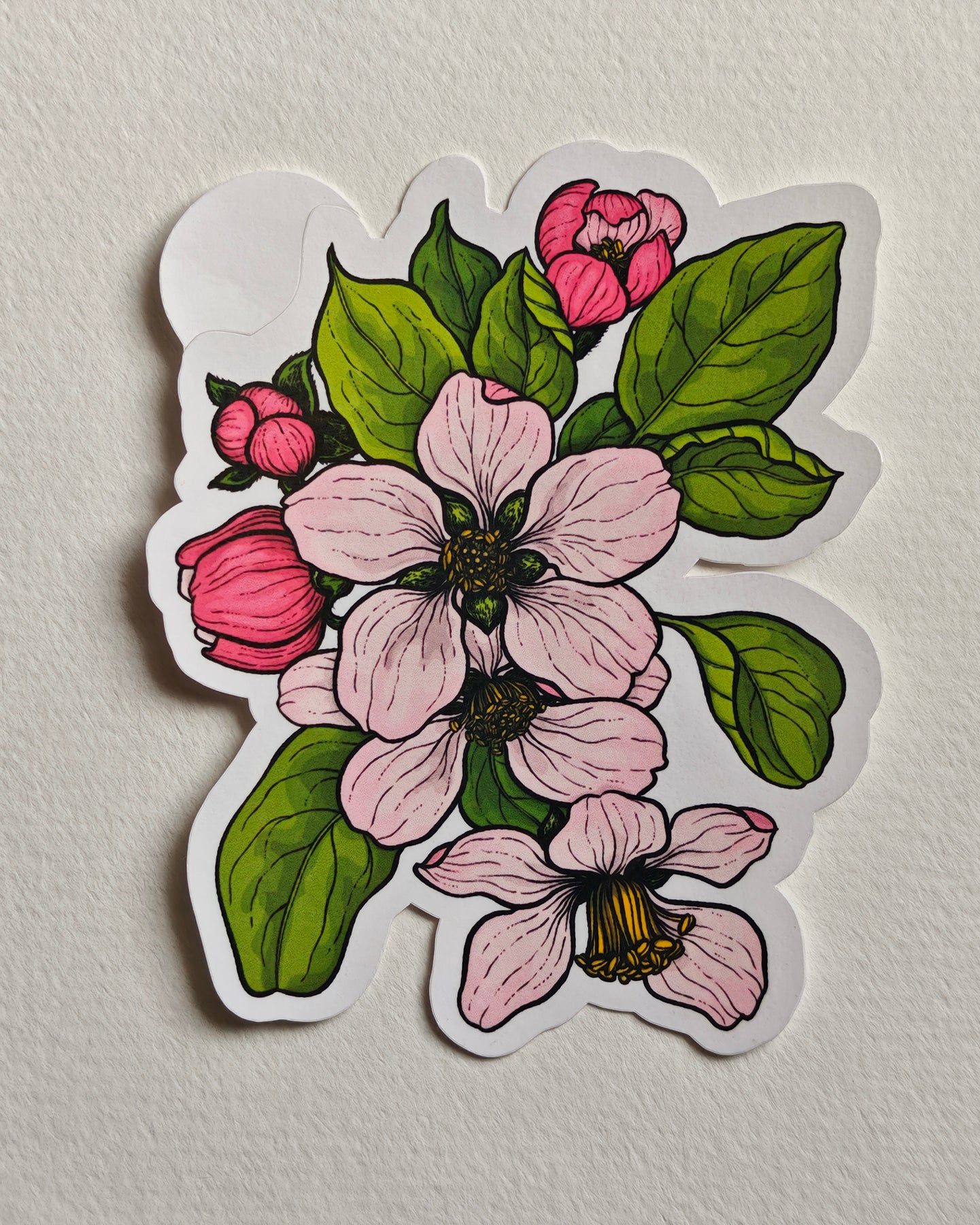 Sticker with apple blossoms and leaves in pink and green  on a white background