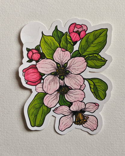 Sticker with apple blossoms and leaves in pink and green  on a white background