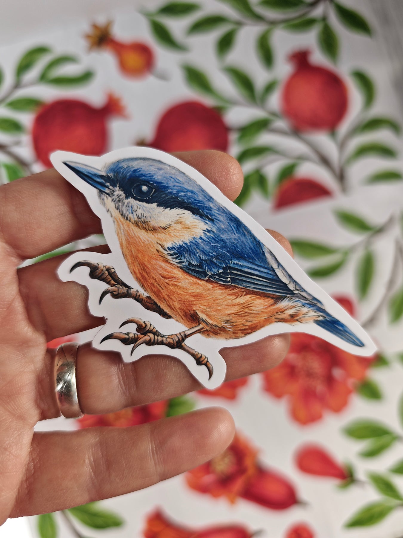 Photo of a sticker with nuthatch bird illustration on a patterned background with red fruit and blooms