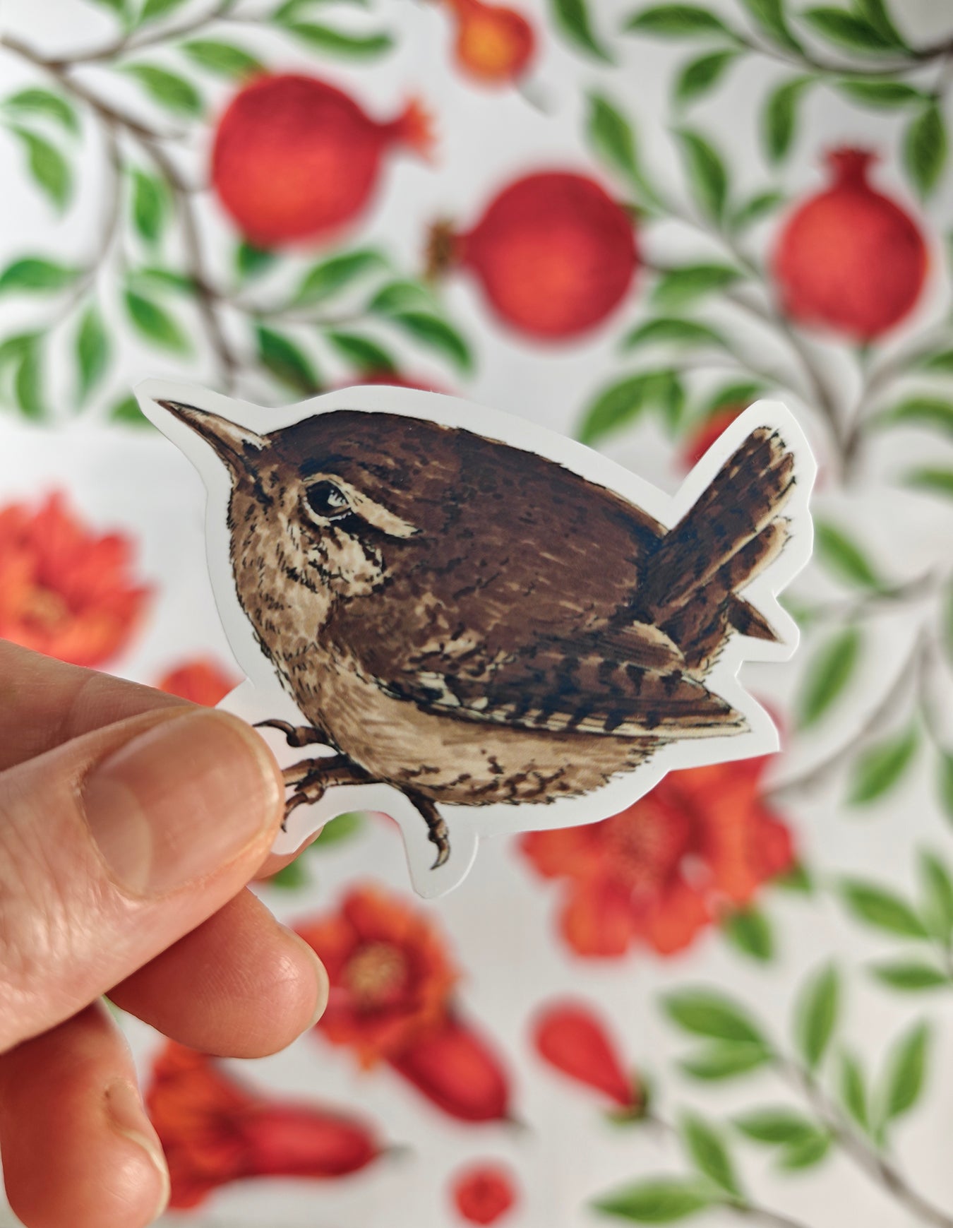 Photo of a sticker with wren bird illustration on a patterned background with red fruit and blooms