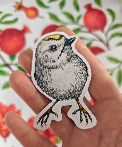 Photo of a sticker with goldcrest bird illustration on a patterned background with red fruit and blooms
