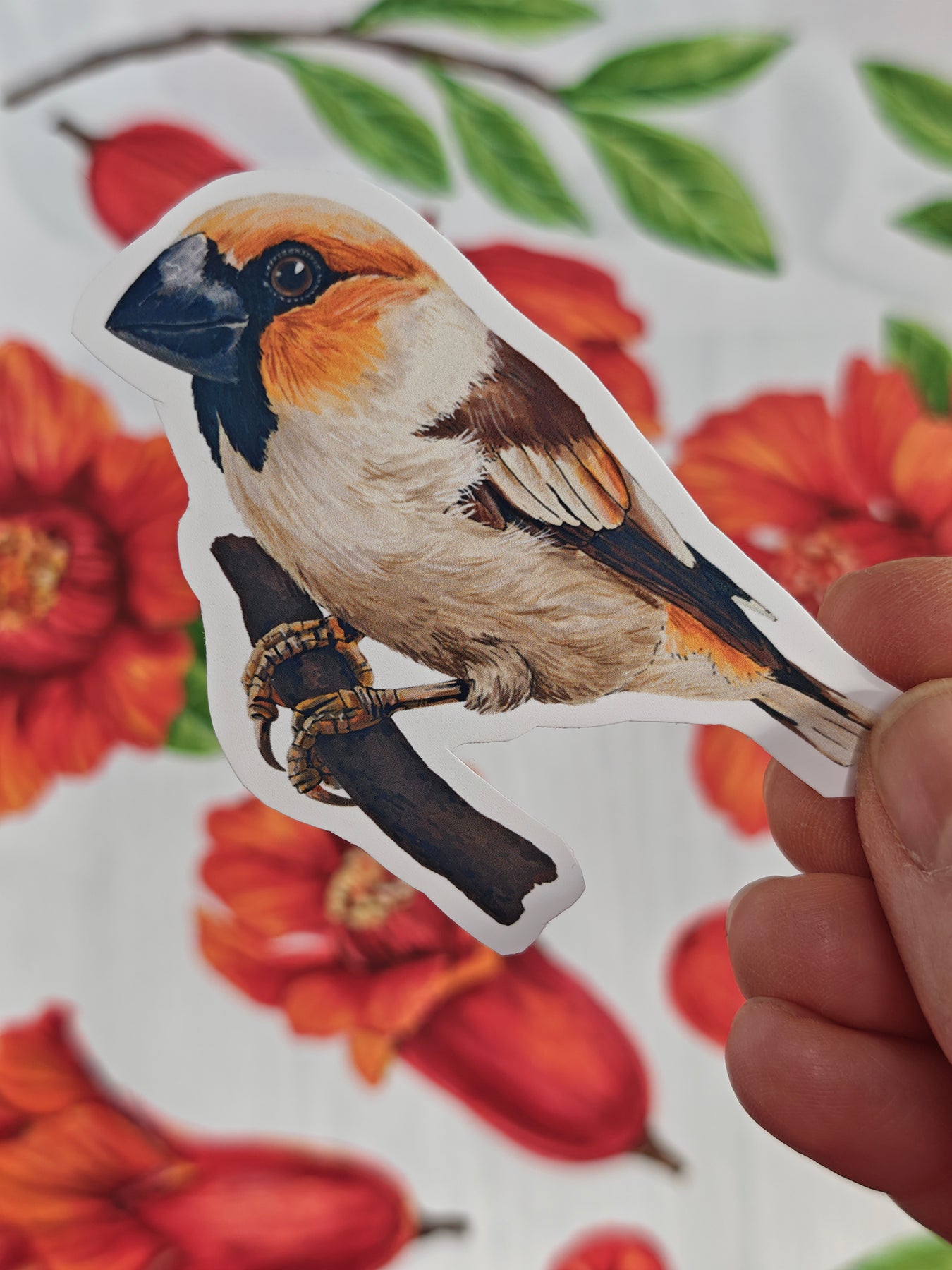 Photo of a sticker with hawfinch bird illustration on a patterned background with red fruit and blooms