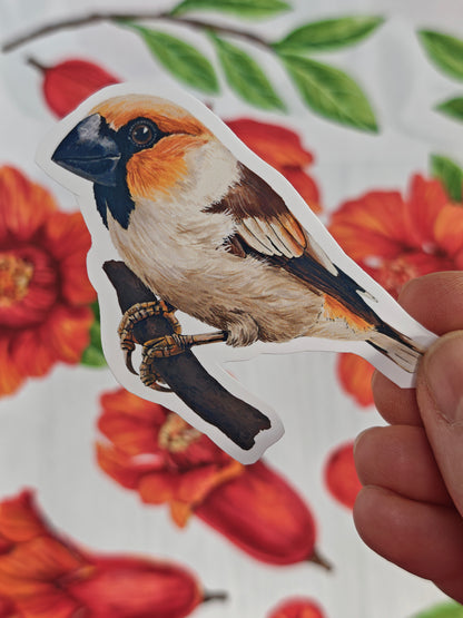 Photo of a sticker with hawfinch bird illustration on a patterned background with red fruit and blooms