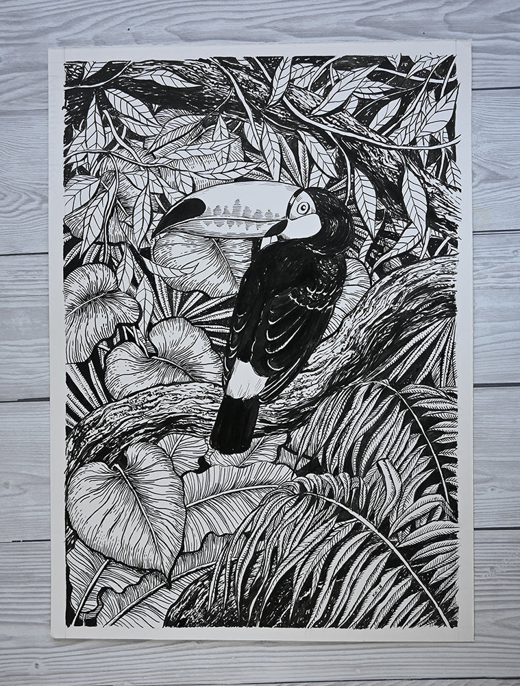 photo of a original painting of a toucan perching on dry wood in the jungle painted with black ink