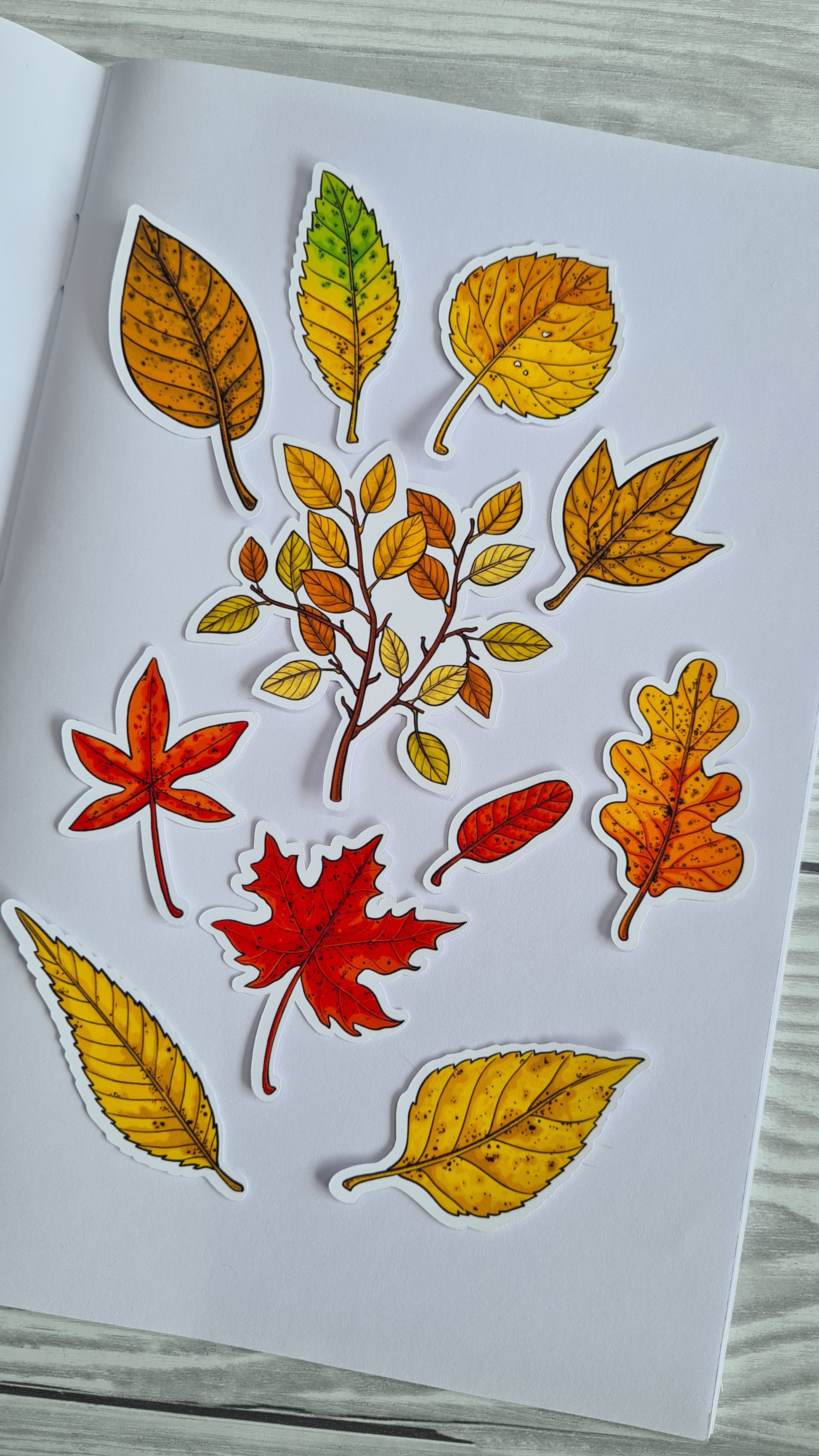 Autumn leaves set vinyl stickers - katerinamitkova