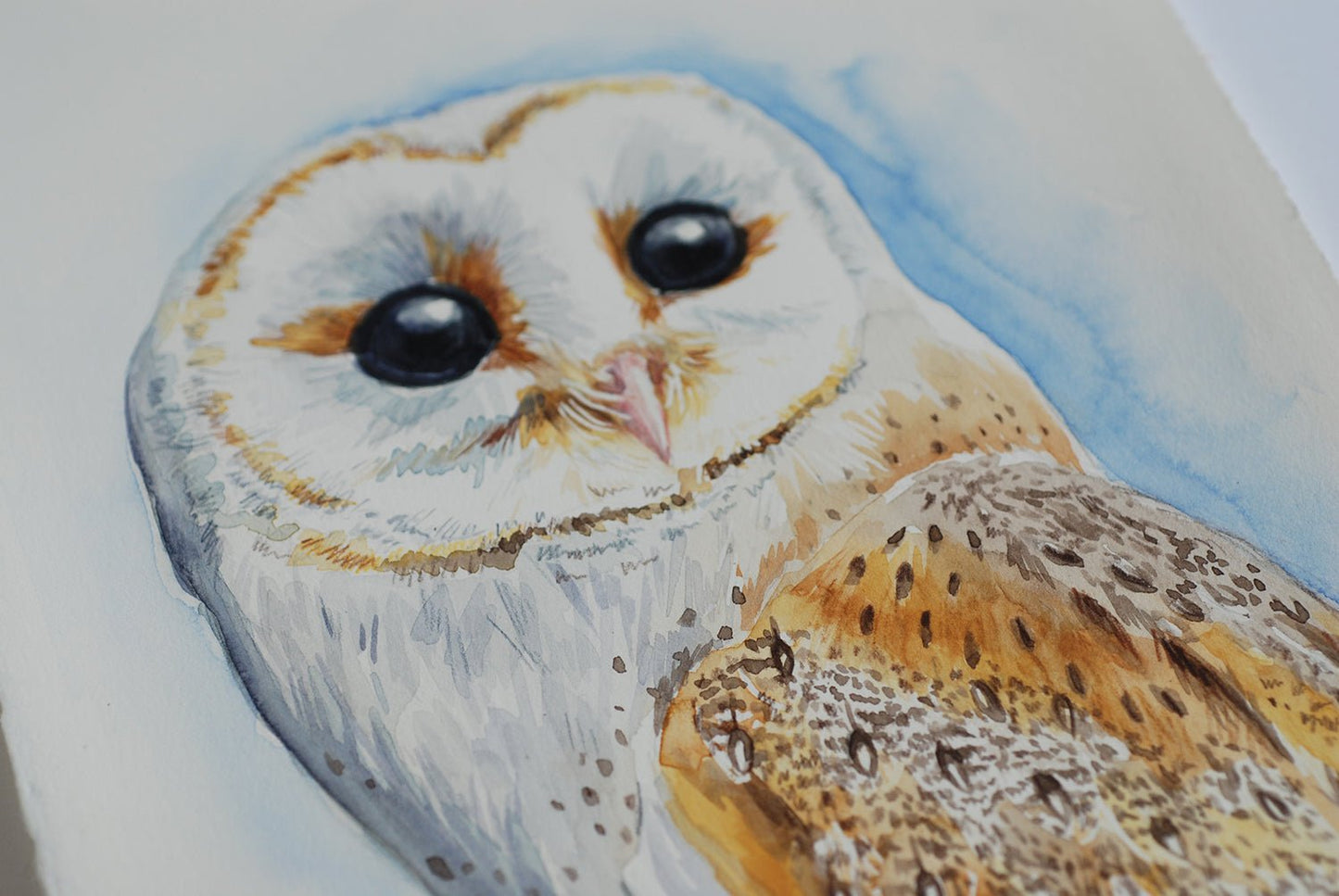 Barn owl watercolor painting - katerinamitkova