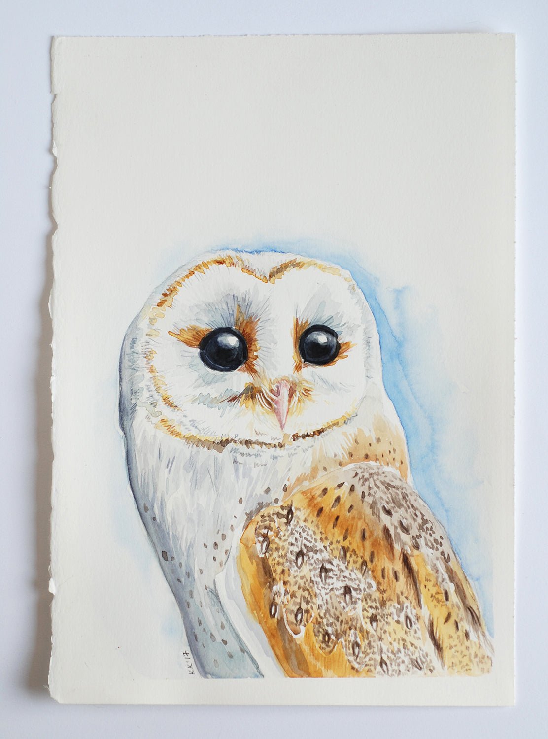 Barn owl watercolor painting - katerinamitkova