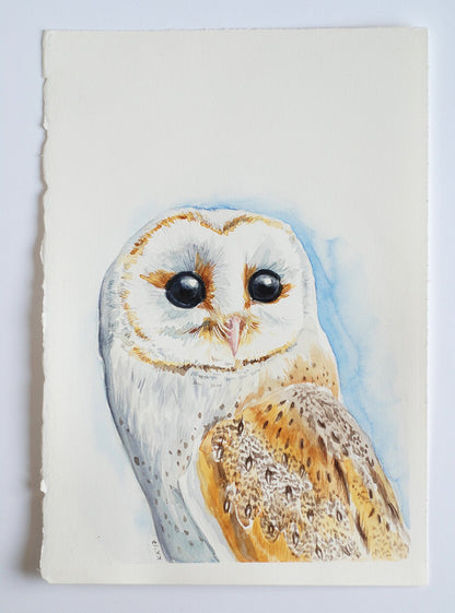 Barn owl watercolor painting - katerinamitkova