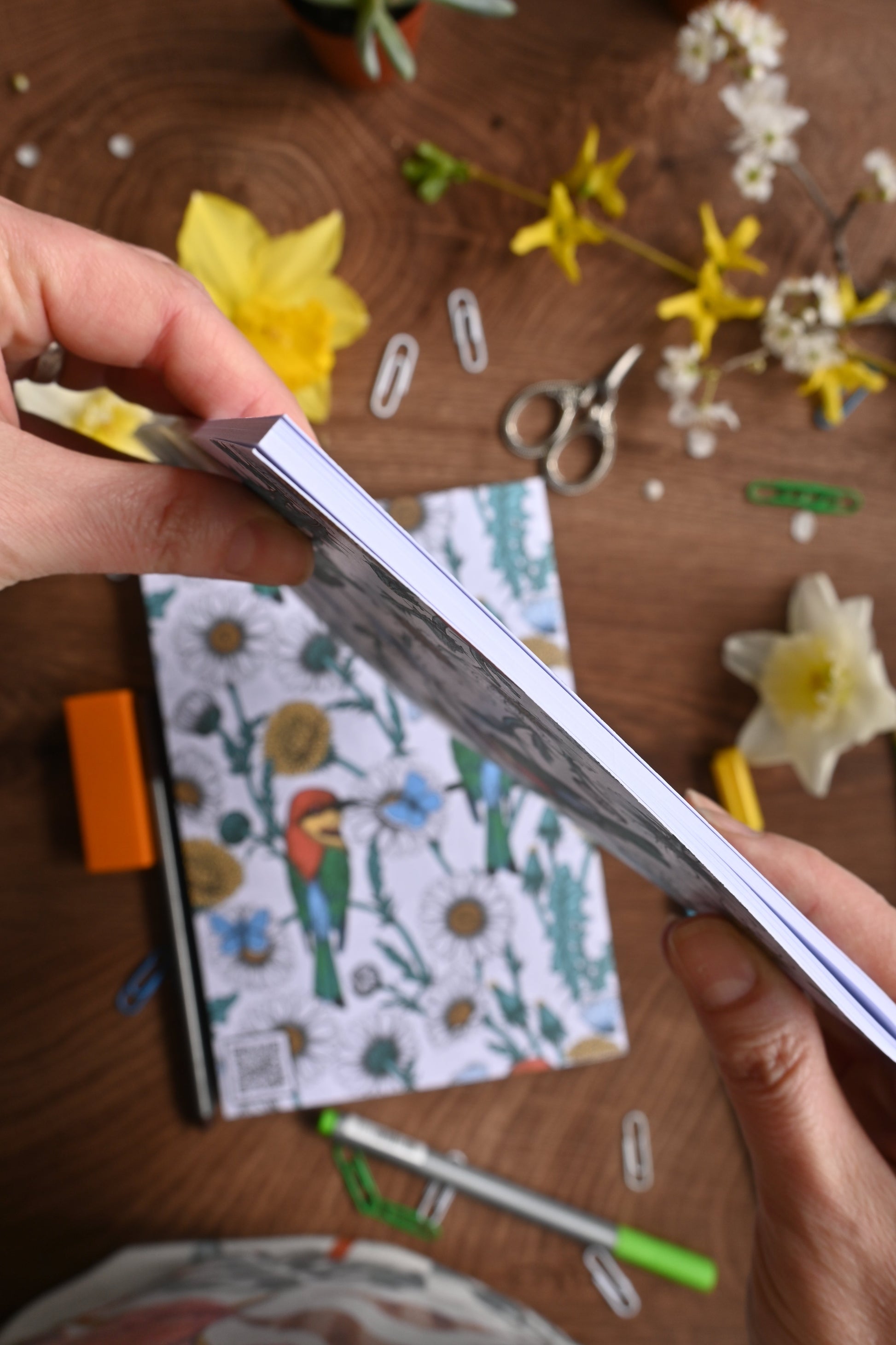 Bee - eaters and wildflowers Notebook - katerinamitkova