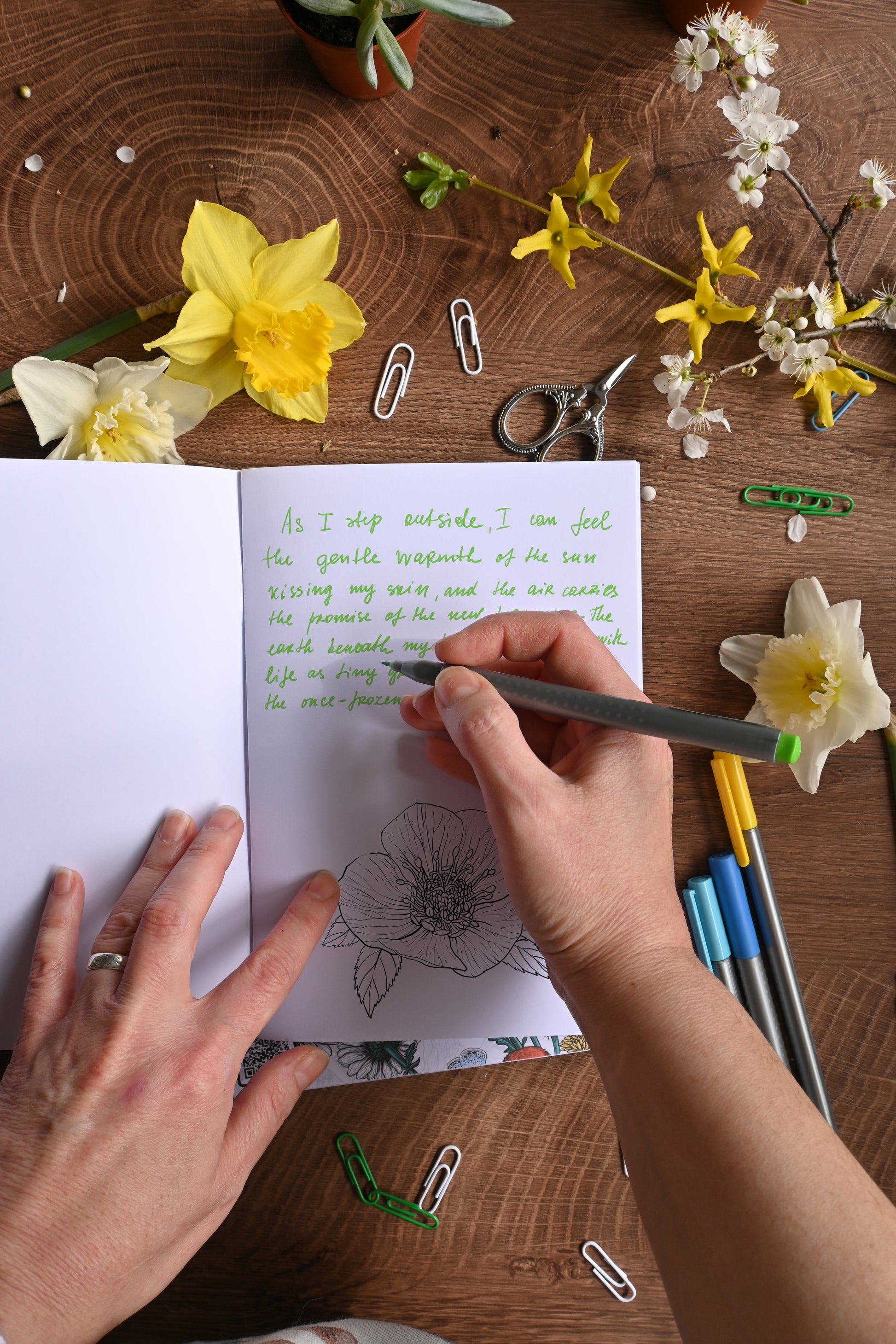 Bee - eaters and wildflowers Notebook - katerinamitkova
