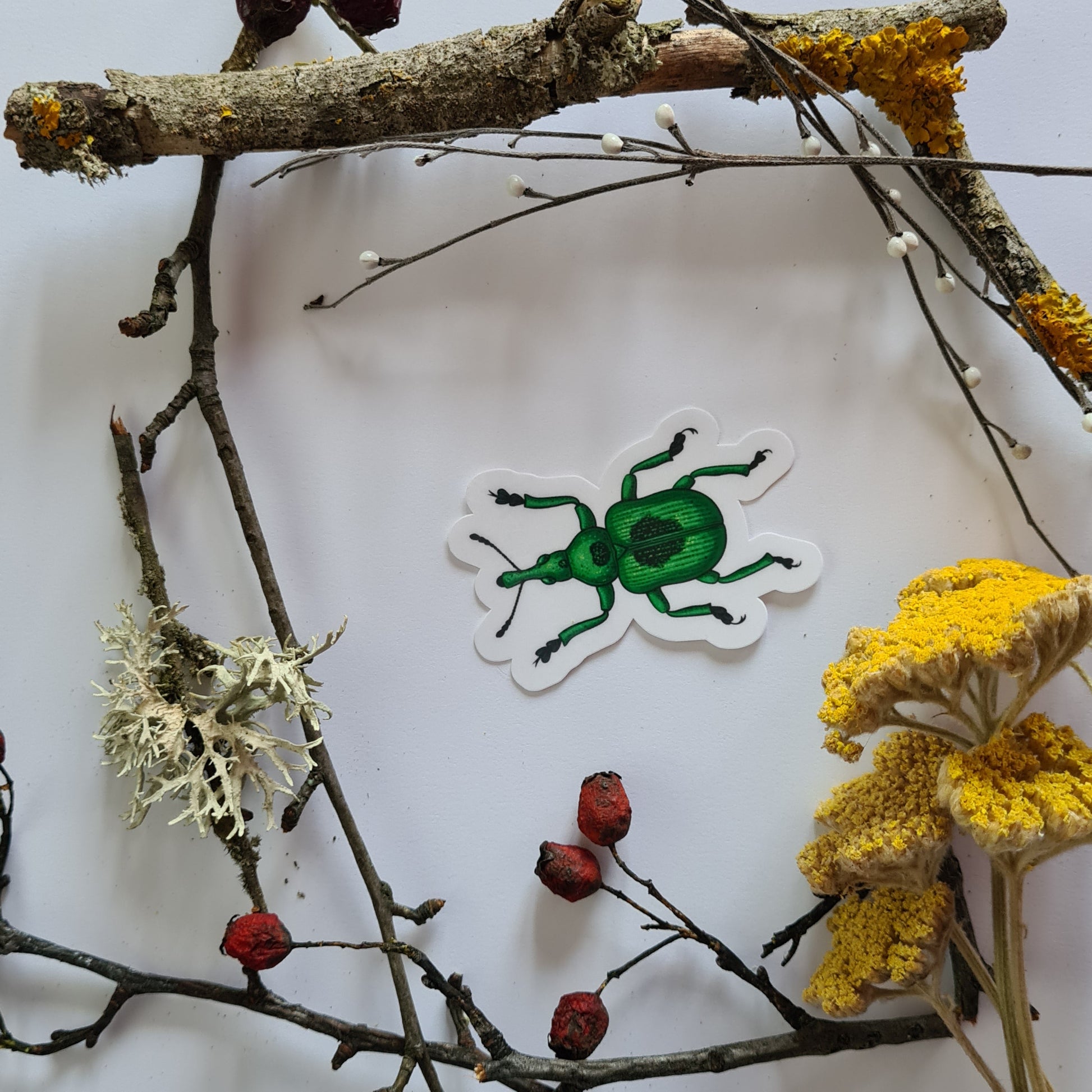 Beetles journal stickers - katerinamitkova