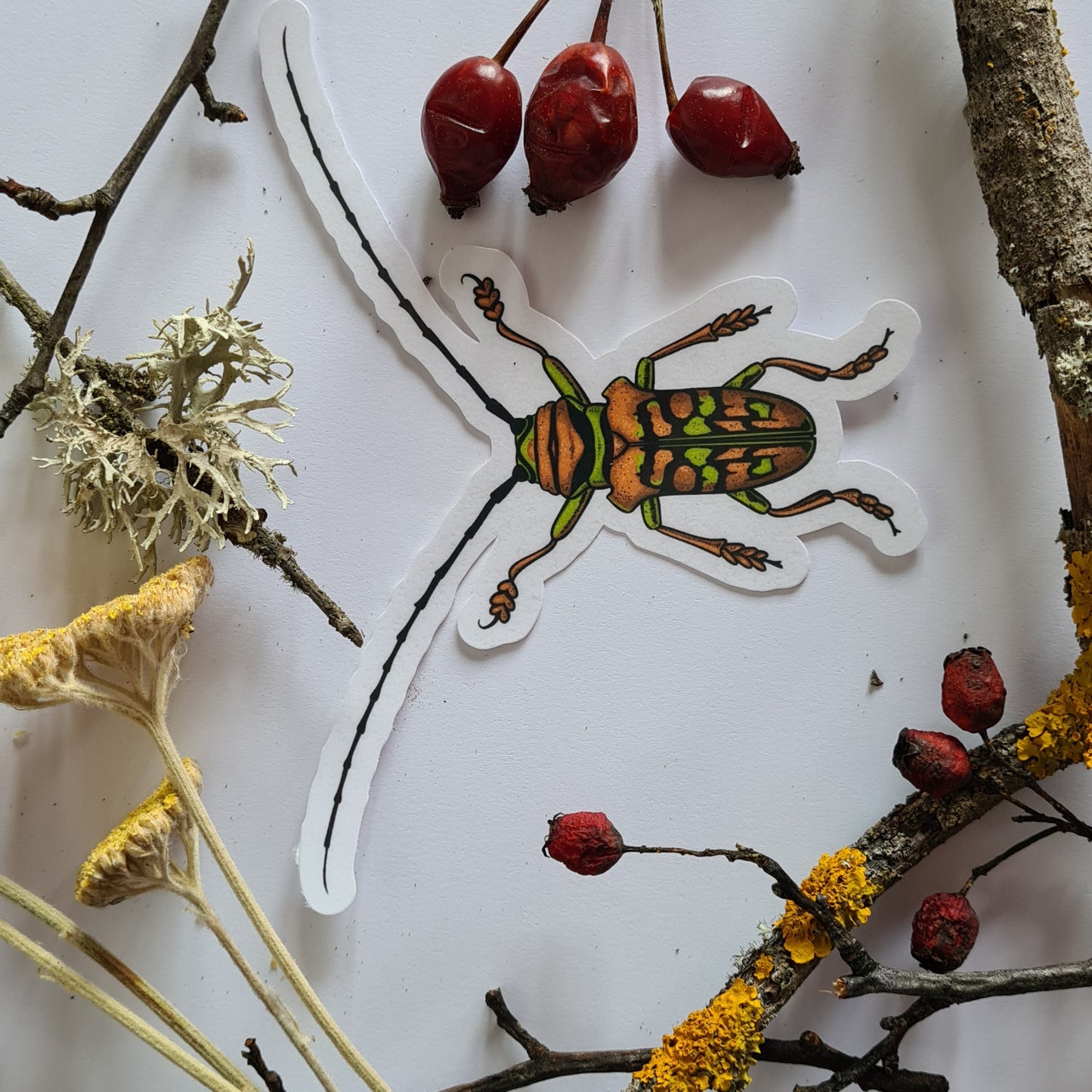 Beetles journal stickers - katerinamitkova