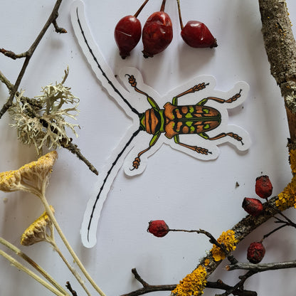 Beetles journal stickers - katerinamitkova