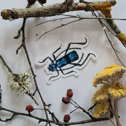 Beetles journal stickers - katerinamitkova