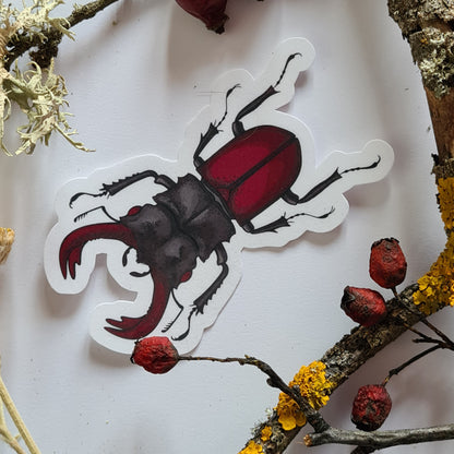 Beetles journal stickers - katerinamitkova