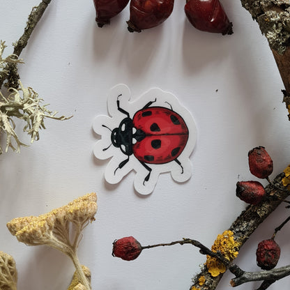 Beetles journal stickers - katerinamitkova