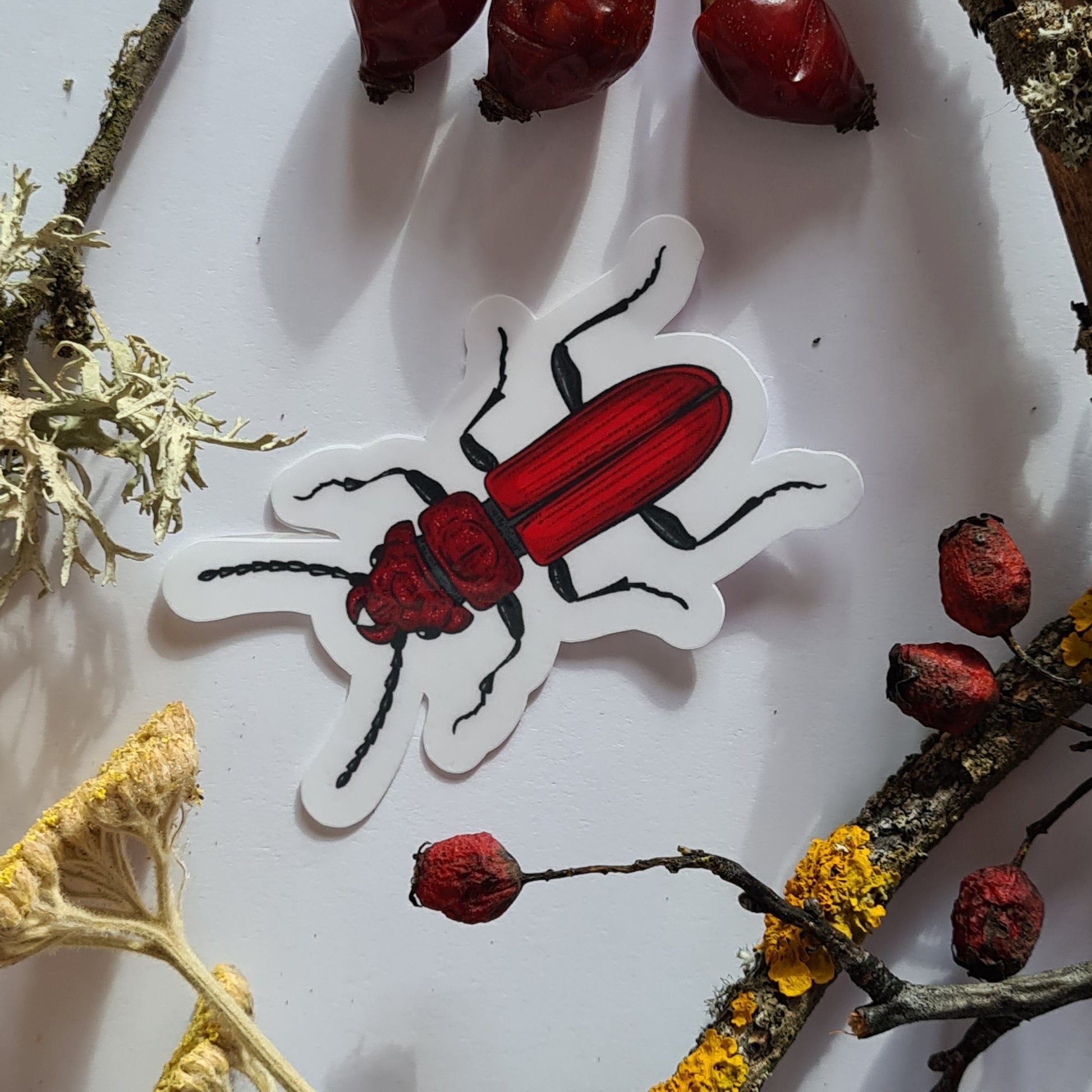 Beetles journal stickers - katerinamitkova