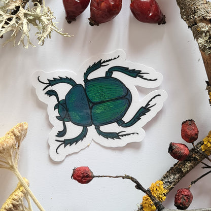 Beetles journal stickers - katerinamitkova